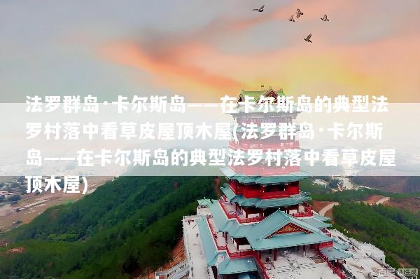 文章配图