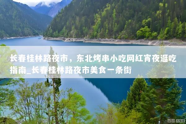 长春桂林路夜市，东北烤串小吃网红宵夜逛吃指南_长春桂林路夜市美食一条街