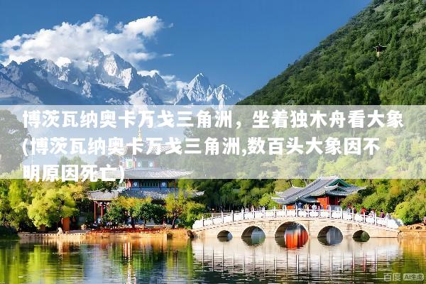 博茨瓦纳奥卡万戈三角洲，坐着独木舟看大象(博茨瓦纳奥卡万戈三角洲,数百头大象因不明原因死亡)
