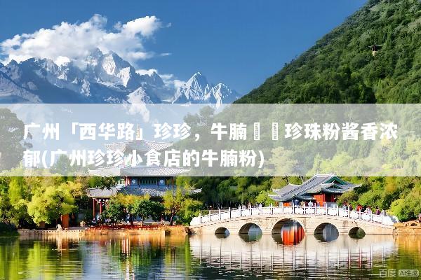 广州「西华路」珍珍，牛腩啫啫珍珠粉酱香浓郁(广州珍珍小食店的牛腩粉)