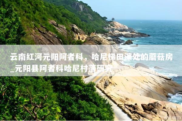 云南红河元阳阿者科，哈尼梯田深处的蘑菇房_元阳县阿者科哈尼村落研究