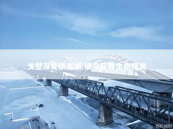 戈壁深处额吉湖 候鸟起舞生命绿洲