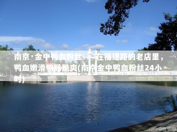 南京·金中鸭血粉丝——在福建路的老店里，鸭血嫩滑鸭肠脆爽(南京金中鸭血粉丝24小时)