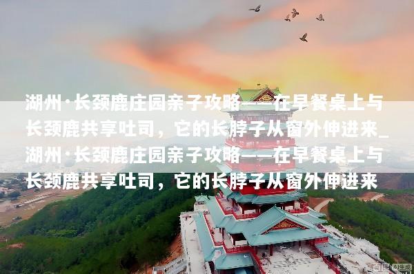 湖州·长颈鹿庄园亲子攻略——在早餐桌上与长颈鹿共享吐司，它的长脖子从窗外伸进来_湖州·长颈鹿庄园亲子攻略——在早餐桌上与长颈鹿共享吐司，它的长脖子从窗外伸进来