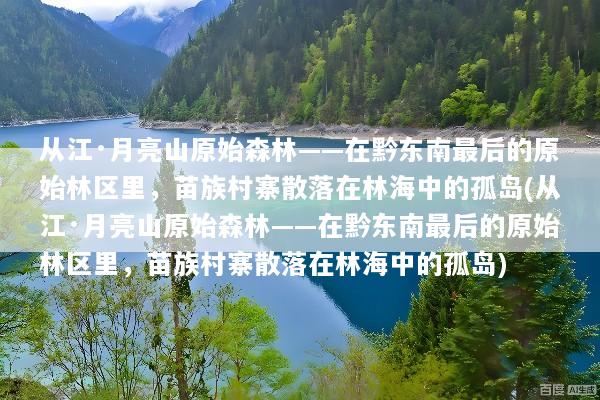 从江·月亮山原始森林——在黔东南最后的原始林区里，苗族村寨散落在林海中的孤岛(从江·月亮山原始森林——在黔东南最后的原始林区里，苗族村寨散落在林海中的孤岛)