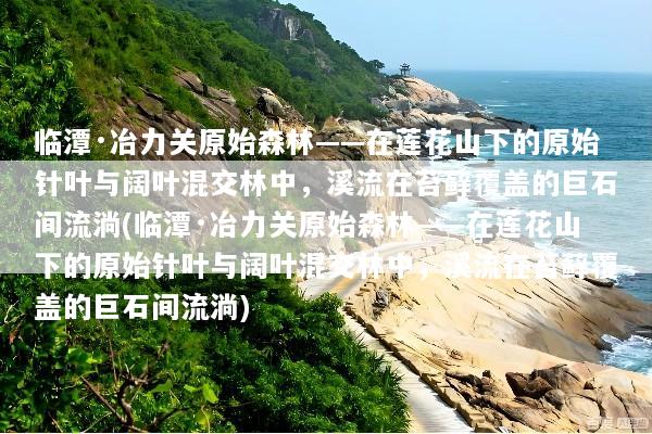 临潭·冶力关原始森林——在莲花山下的原始针叶与阔叶混交林中，溪流在苔藓覆盖的巨石间流淌(临潭·冶力关原始森林——在莲花山下的原始针叶与阔叶混交林中，溪流在苔藓覆盖的巨石间流淌)
