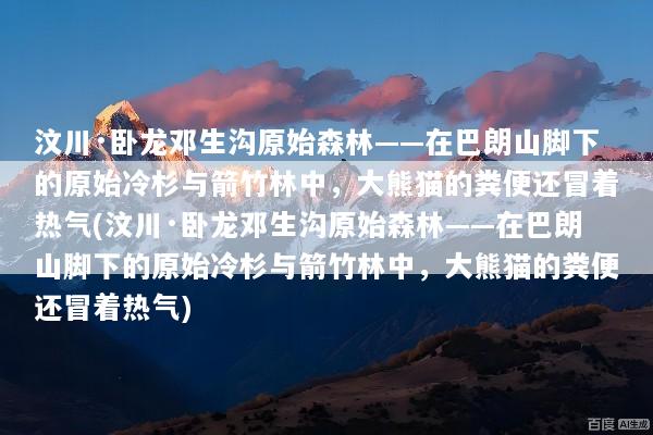 汶川·卧龙邓生沟原始森林——在巴朗山脚下的原始冷杉与箭竹林中，大熊猫的粪便还冒着热气(汶川·卧龙邓生沟原始森林——在巴朗山脚下的原始冷杉与箭竹林中，大熊猫的粪便还冒着热气)