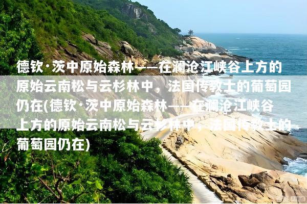 德钦·茨中原始森林——在澜沧江峡谷上方的原始云南松与云杉林中，法国传教士的葡萄园仍在(德钦·茨中原始森林——在澜沧江峡谷上方的原始云南松与云杉林中，法国传教士的葡萄园仍在)