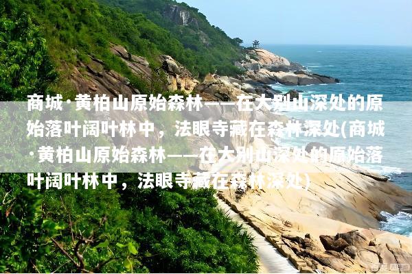 商城·黄柏山原始森林——在大别山深处的原始落叶阔叶林中，法眼寺藏在森林深处(商城·黄柏山原始森林——在大别山深处的原始落叶阔叶林中，法眼寺藏在森林深处)