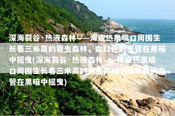 深海裂谷·热液森林——海底热泉喷口周围生长着三米高的管虫森林，血红色的虫管在黑暗中摇曳(深海裂谷·热液森林——海底热泉喷口周围生长着三米高的管虫森林，血红色的虫管在黑暗中摇曳)