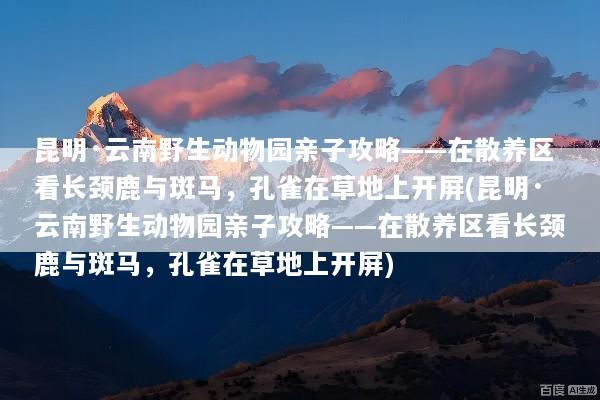 昆明·云南野生动物园亲子攻略——在散养区看长颈鹿与斑马，孔雀在草地上开屏(昆明·云南野生动物园亲子攻略——在散养区看长颈鹿与斑马，孔雀在草地上开屏)
